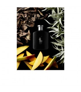RALPH LAUREN POLO BLACK EAU DE TOILETTE SPRAY 125 ML